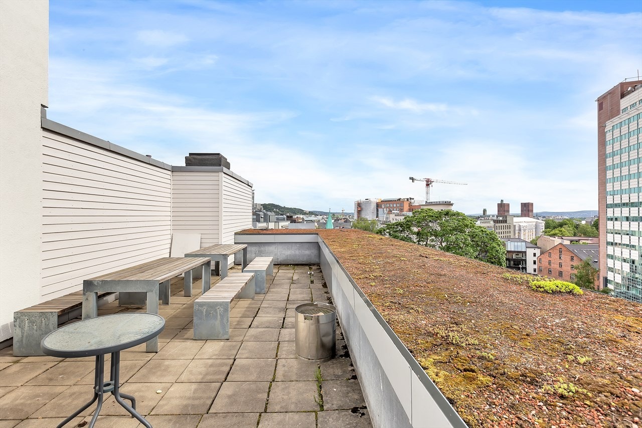 Felles takterrasse. Galleribilde