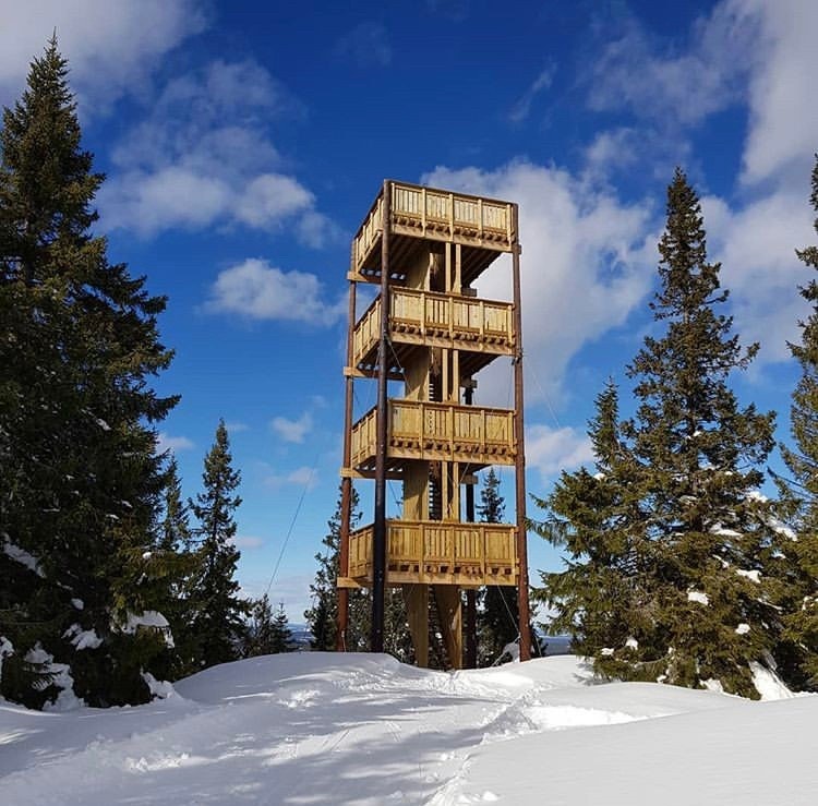 Lushaugtårnet vinterstid Galleribilde