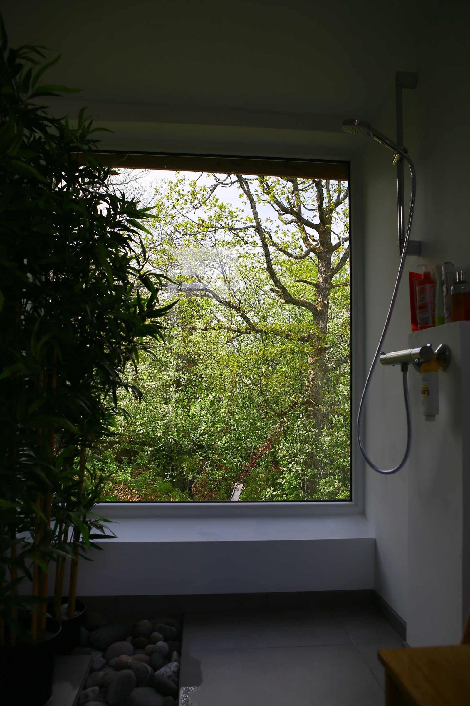 Store vinduer ut mot skogen fra bad og alle soverom. Galleribilde