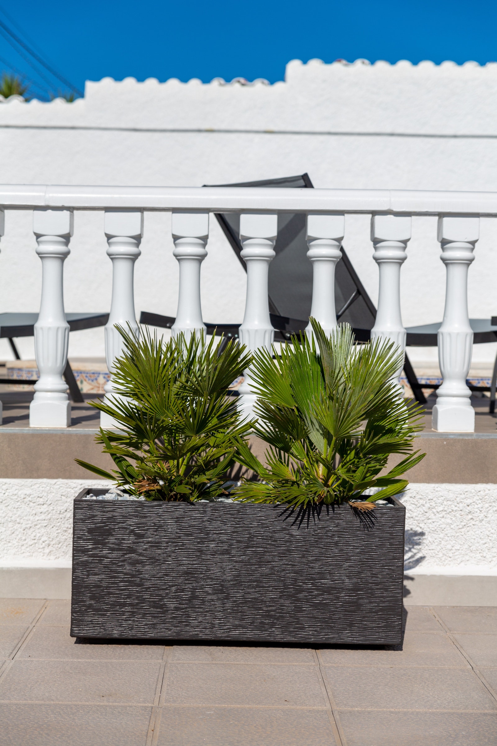 Ryddig hage. Galleribilde