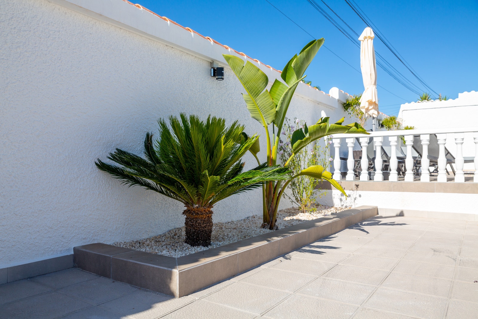 Ryddig hage. Galleribilde