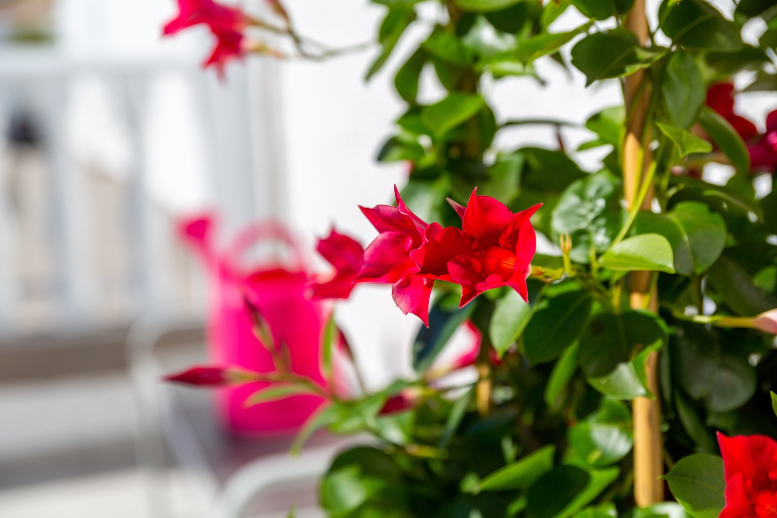 Detalj. Galleribilde