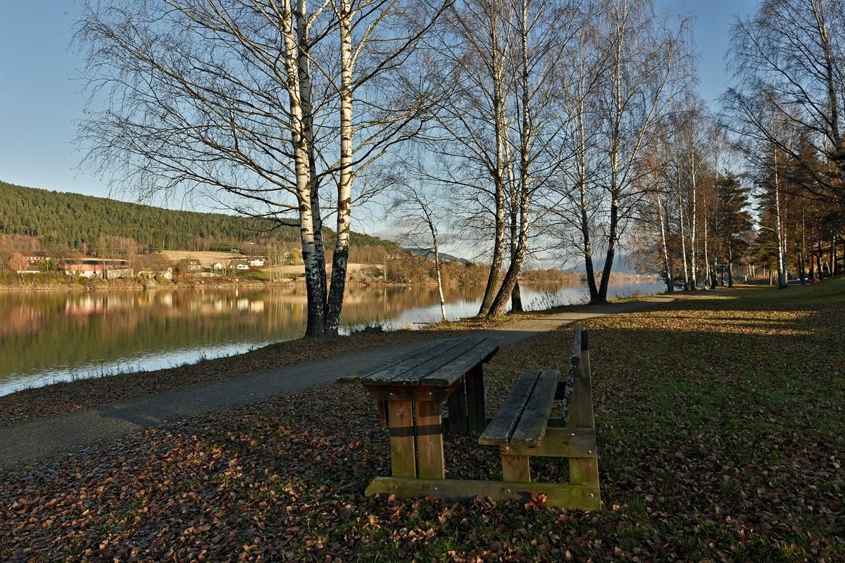 Nærområdet har både buss- og togavganger. Galleribilde