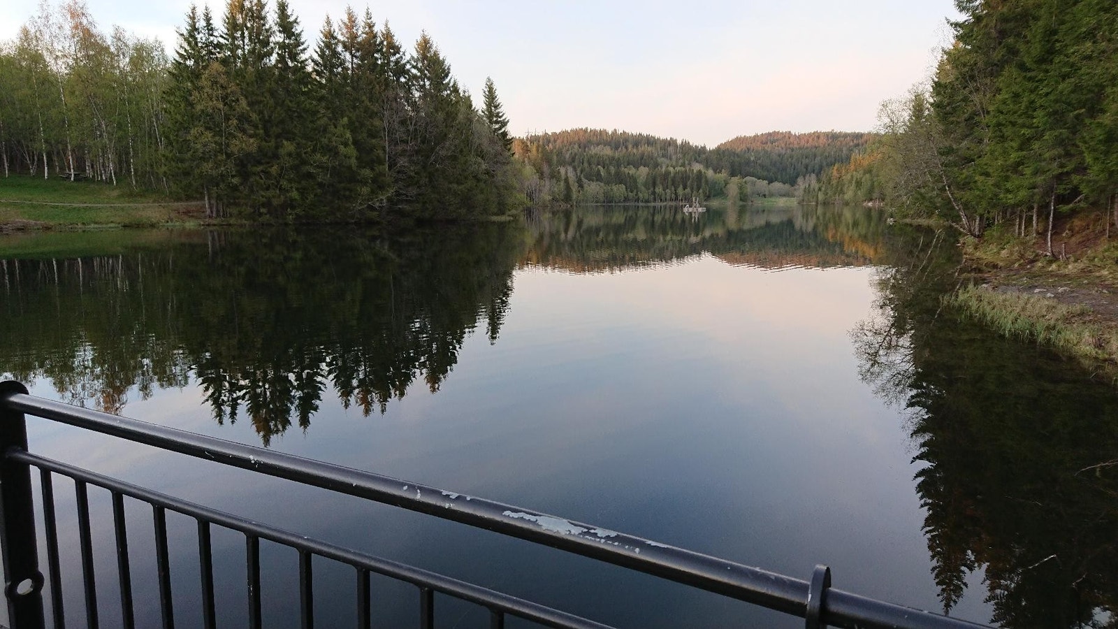 Tømmerholtdammen Galleribilde