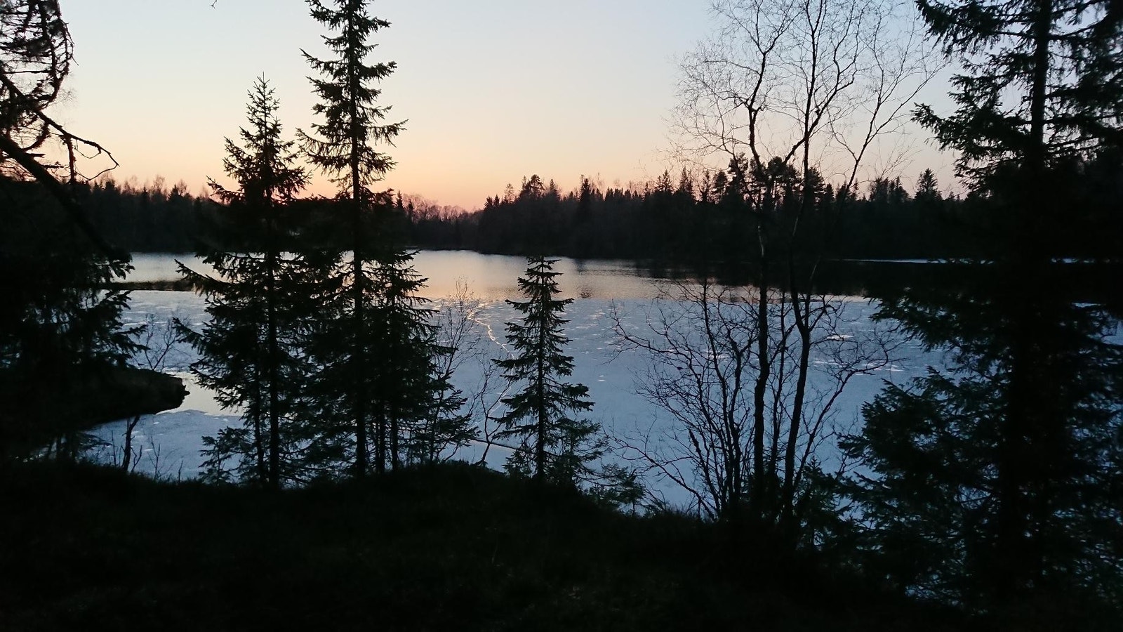 Tømmerholtdammen på vinteren Galleribilde