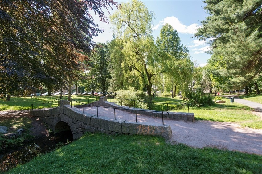 Nærområde - Parken på St. Hanshaugen. Galleribilde