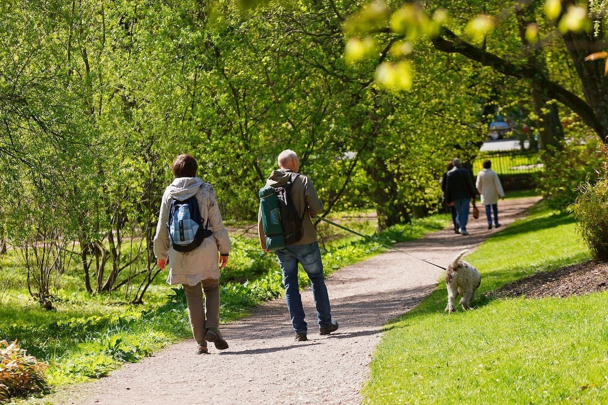 I Botanisk hage finner du fantastisk idyll, bare få minutter fra leiligheten. Galleribilde