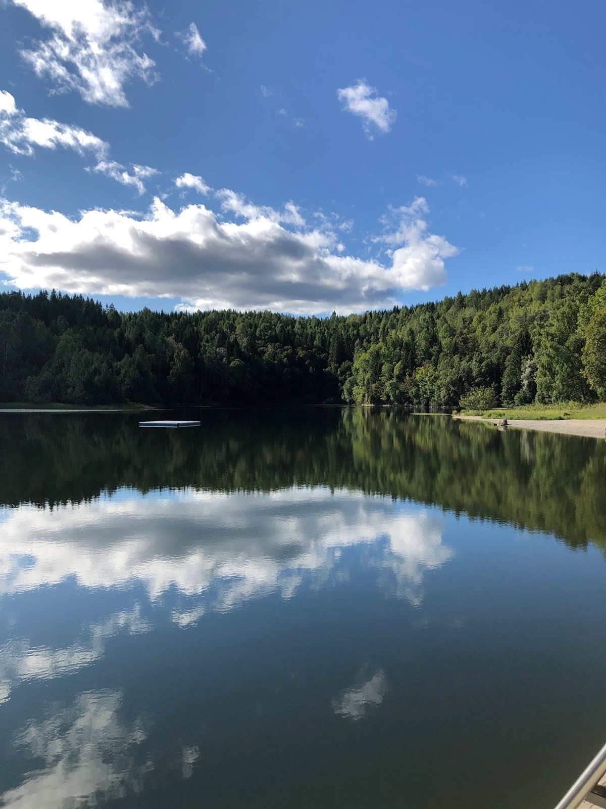 Selgers private bilder. Galleribilde