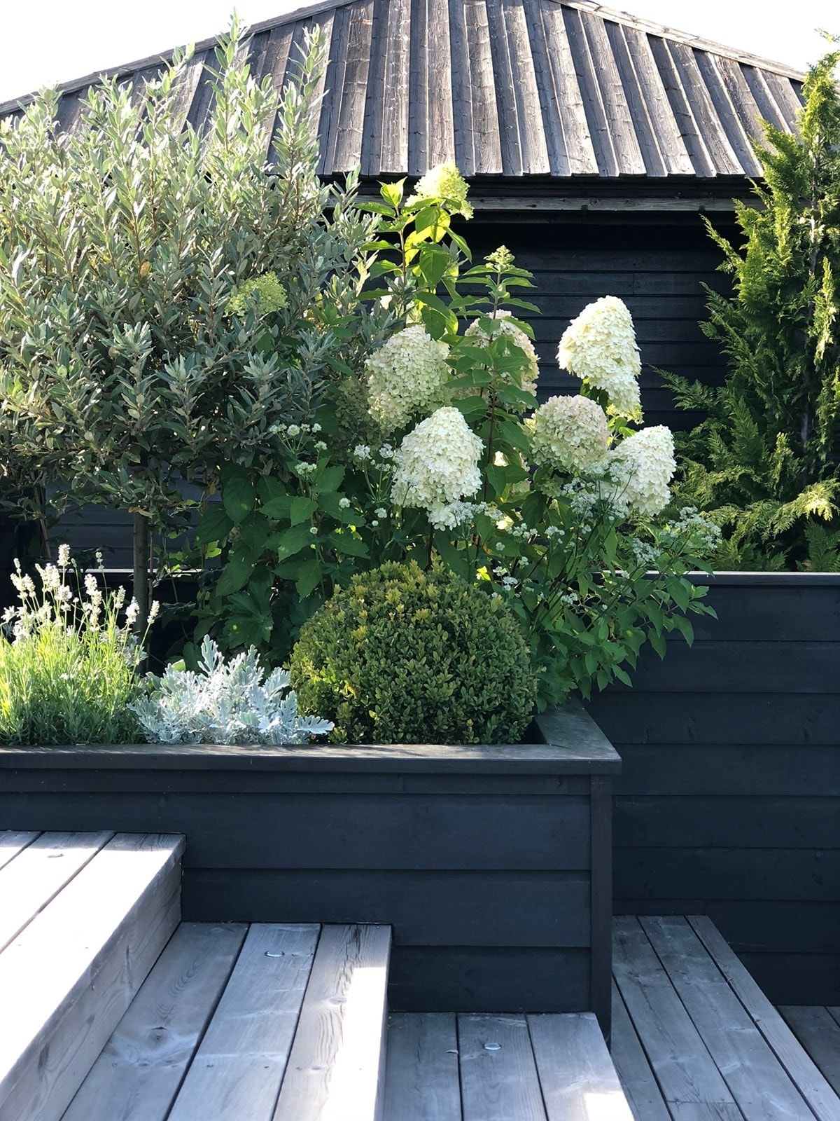 Selgers private bilder. Galleribilde