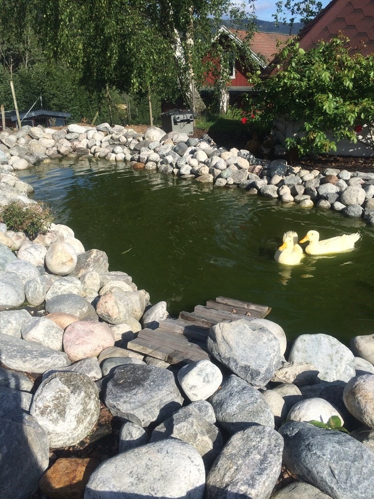 Egen andedam. Galleribilde