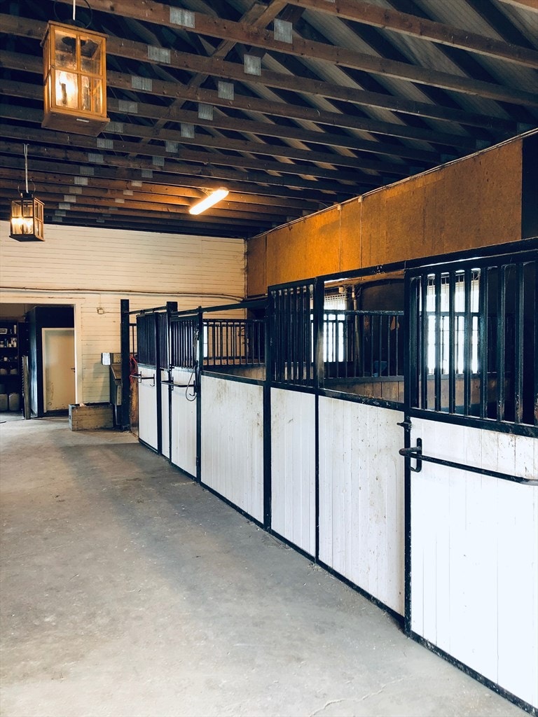 Kjempe fin stall Galleribilde