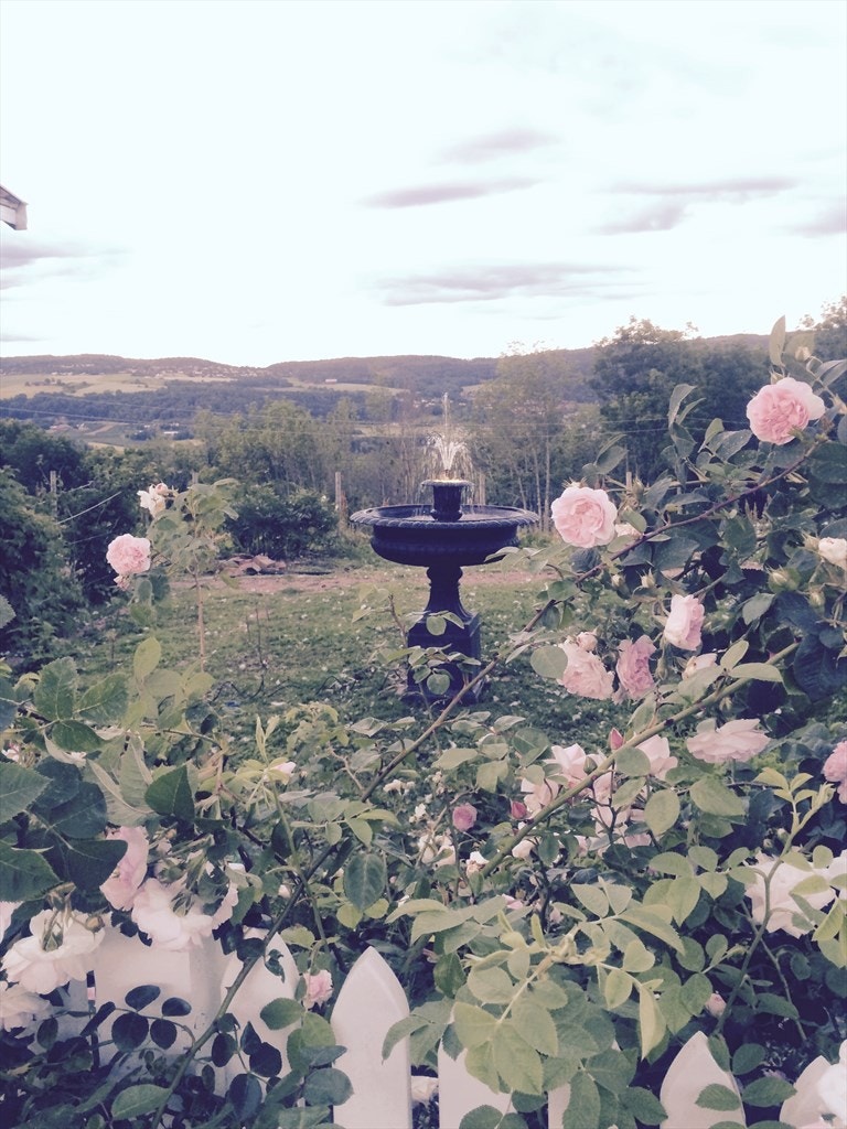 Vakre omgivelser på Jaren gård. Galleribilde