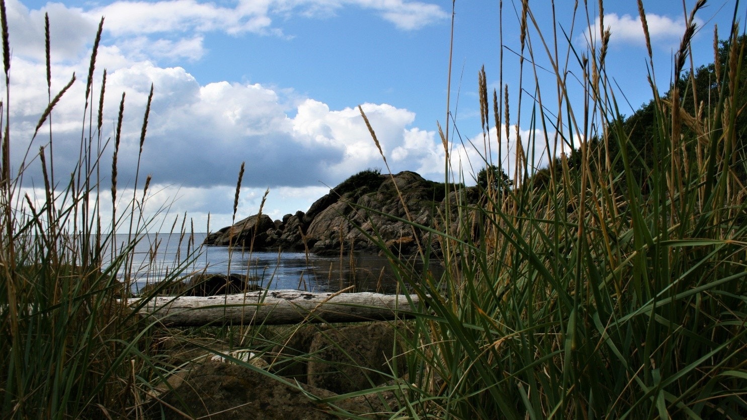 Stemningsbilde Galleribilde