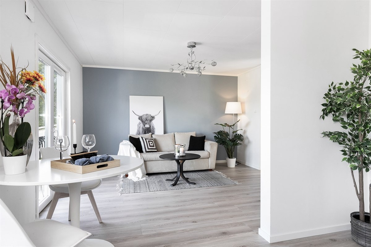Veggene i rommet er lysmalte, foruten en gråblå aksentvegg. Gulvet er i flott laminat fra 2019. Galleribilde