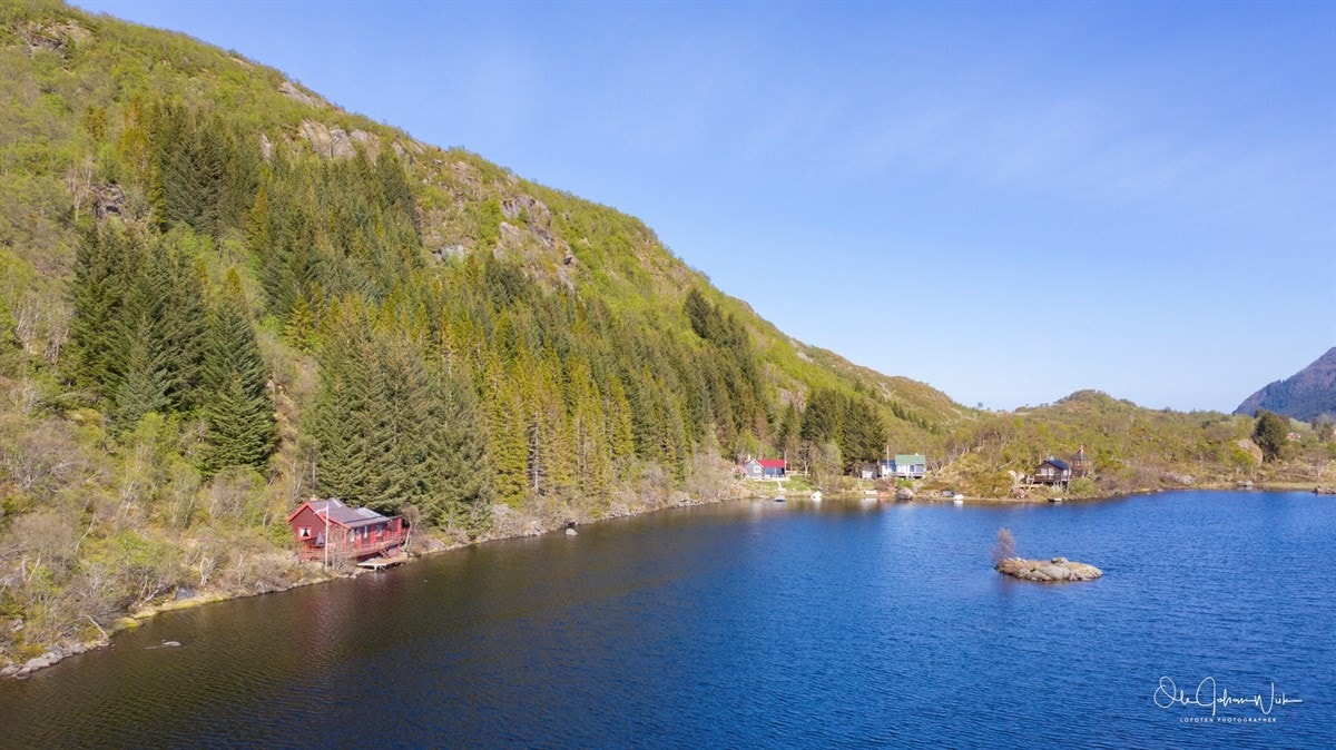 Områdebilde Galleribilde