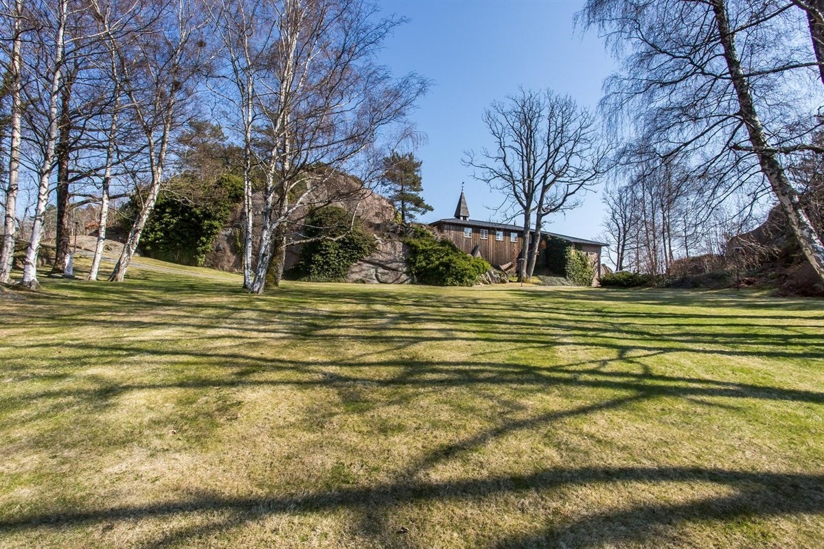 Parkmessig hage - med store plenarealer - her ned mot sjøen Galleribilde