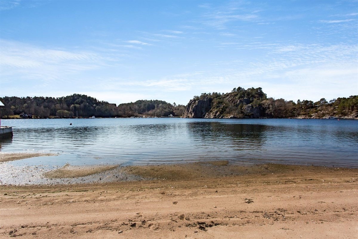 Fra sandstranden Galleribilde