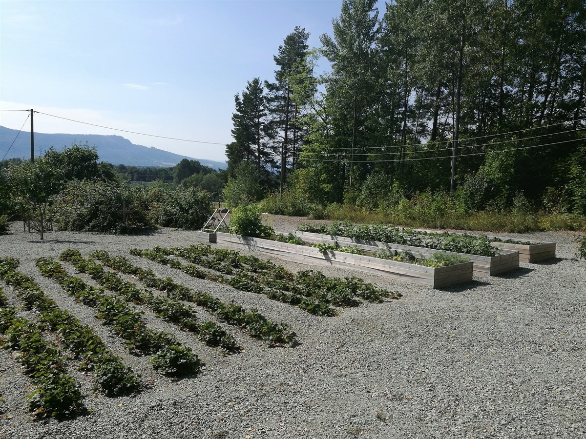 Uteområde. Galleribilde