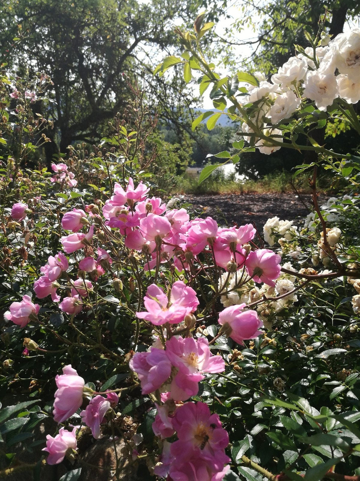 Detalj. Galleribilde