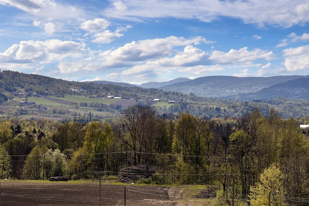Nydelig utsikt. Galleribilde