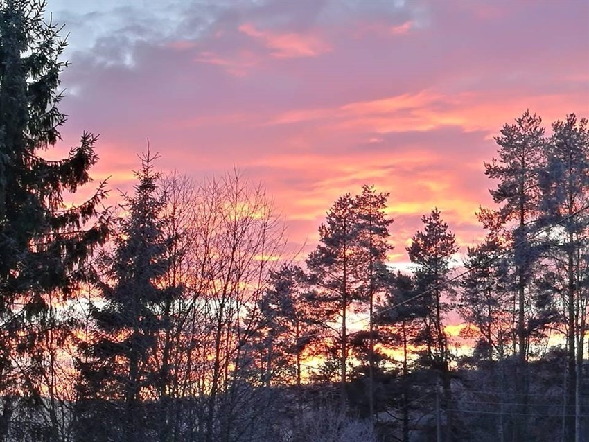 Stemningsbilde. Galleribilde