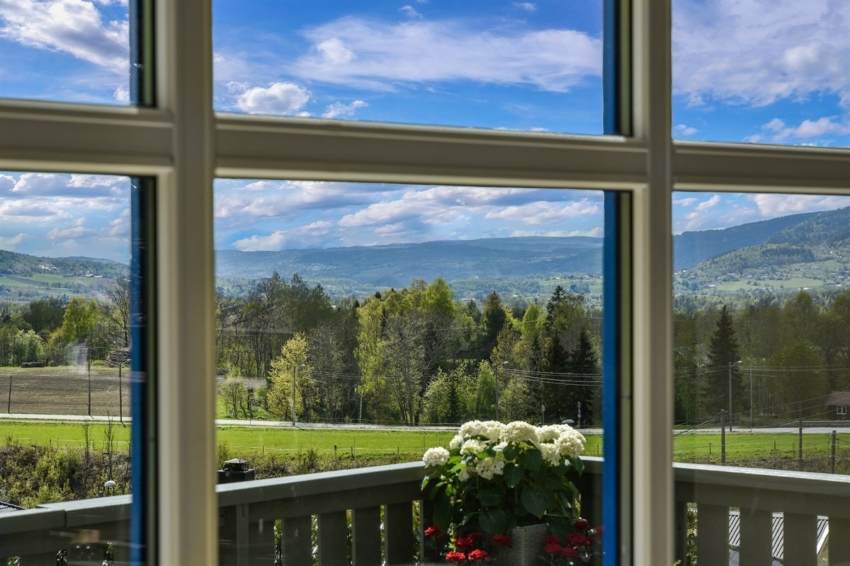 Utsikt over Lierdalen. Galleribilde