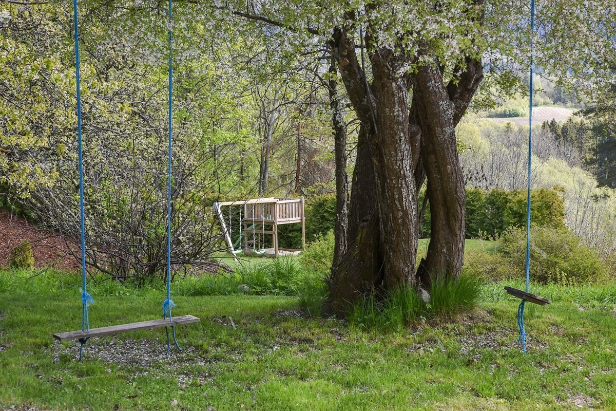 Uteområde. Galleribilde