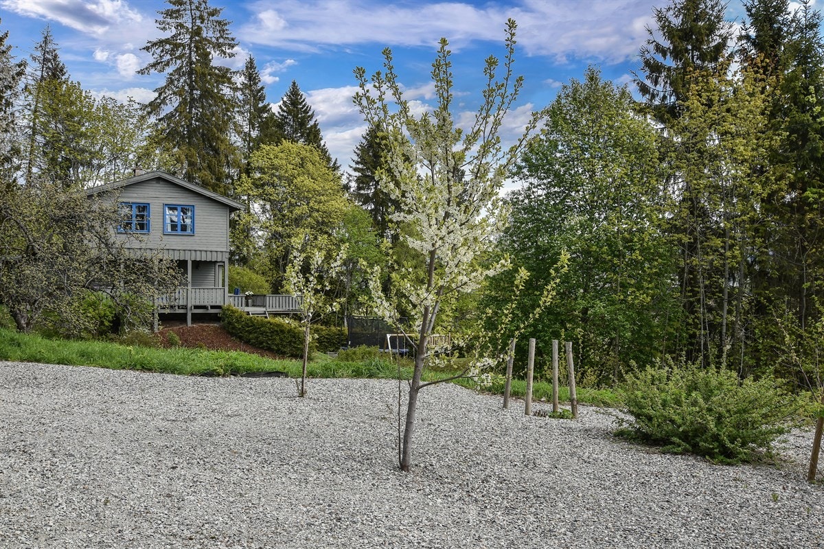Videre finnes det videregående skoler i både Lier og Drammen, samt et godt utvalg av private og kommunale barnehager. Galleribilde
