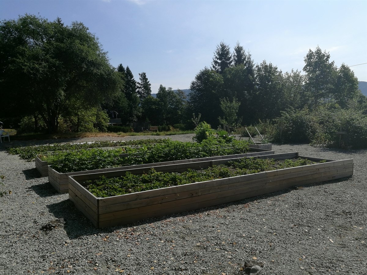 Uteområde. Galleribilde