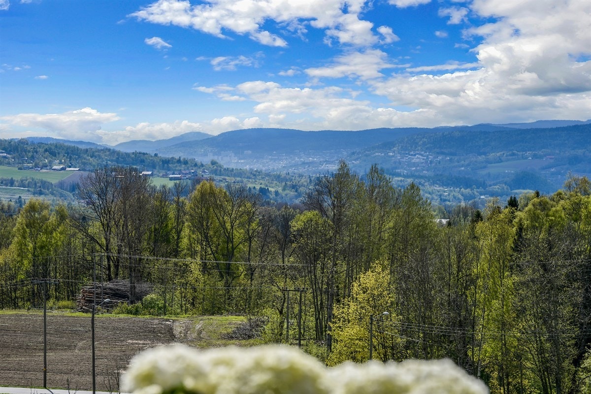 Nydelig utsikt. Galleribilde