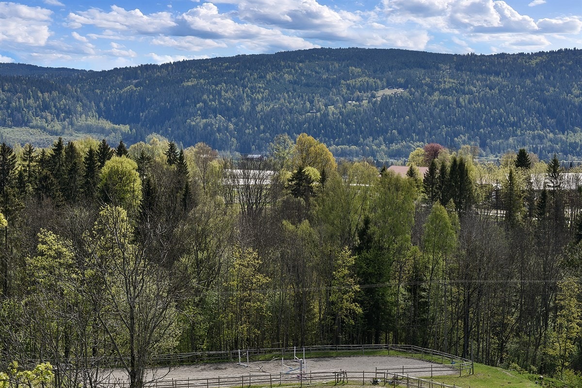 Nydelig utsikt. Galleribilde