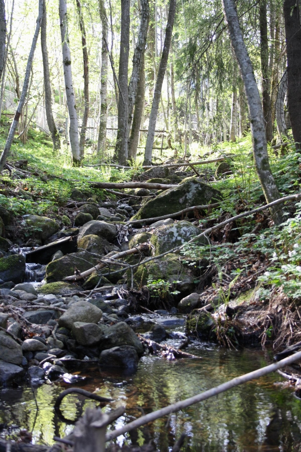 Bekk ved tomten. Galleribilde