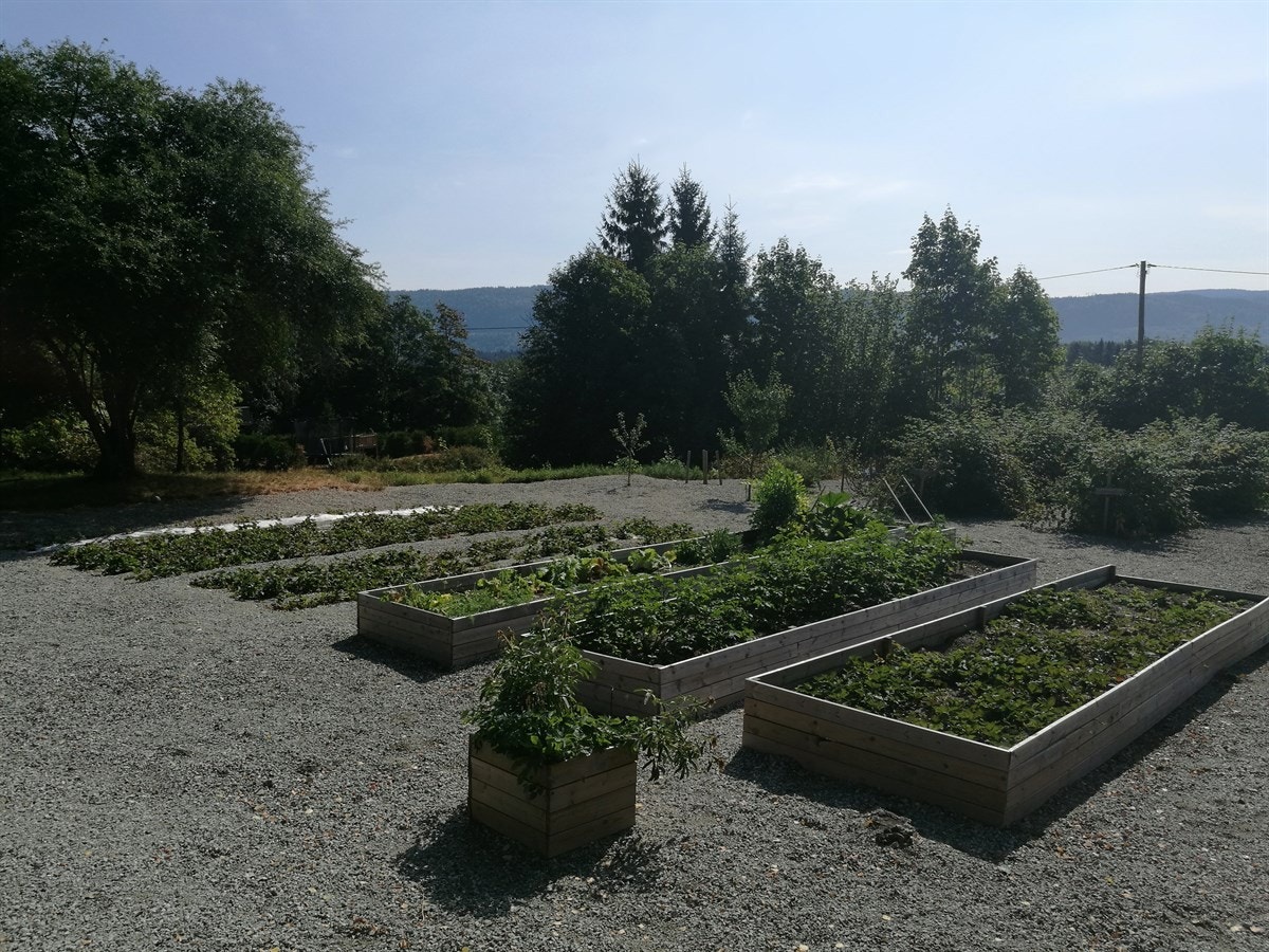 Her er det plass til både ridebane og grønnsaksdyrking. Galleribilde