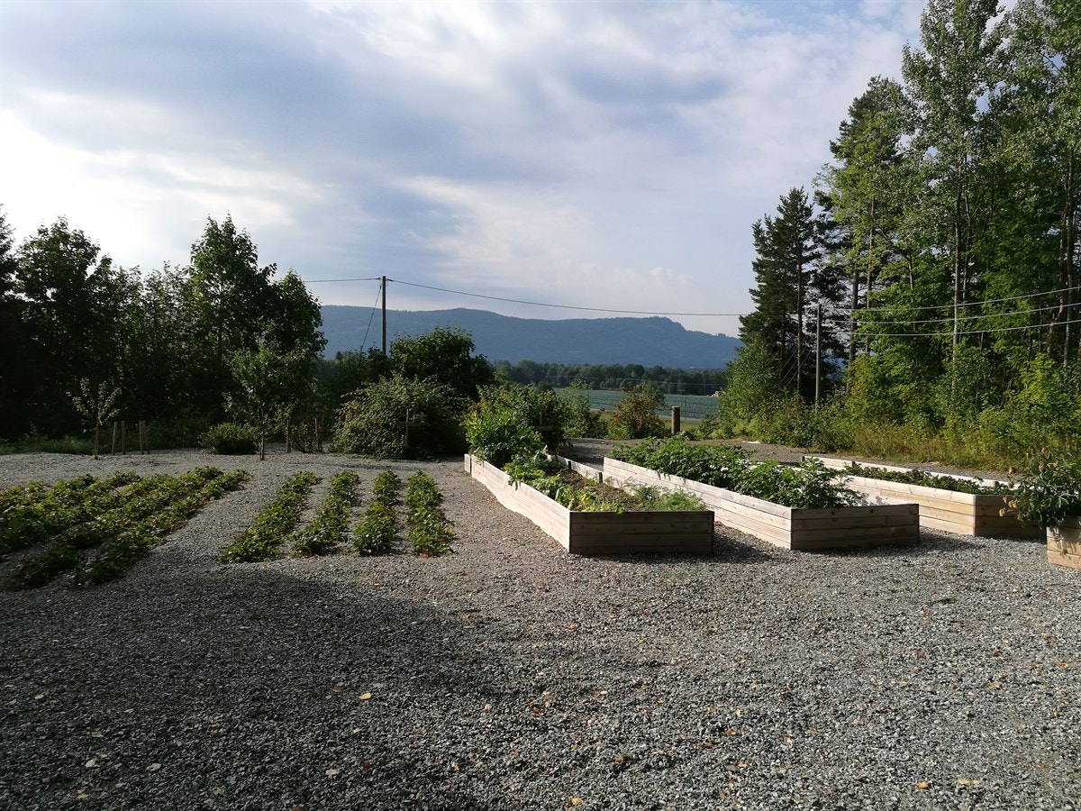 Den over 10 mål store tomten er pent opparbeidet med plen, tuja, frukttrær og diverse beplantning. Galleribilde