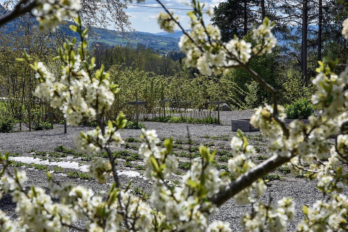 Detalj. Galleribilde