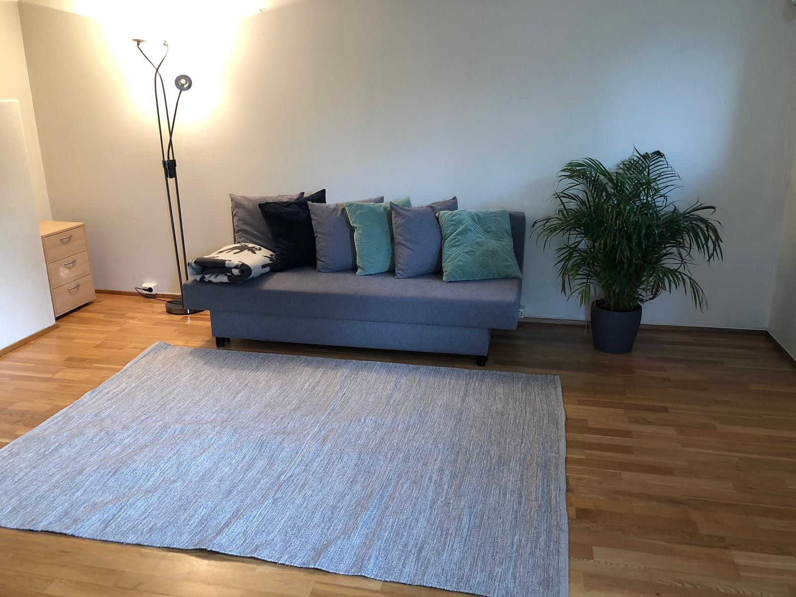 Stue med sovesofa Galleribilde