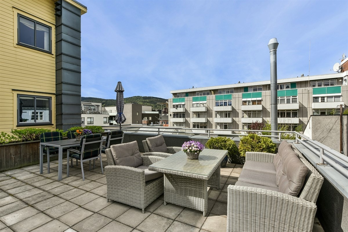 Felles takterrasse. Galleribilde