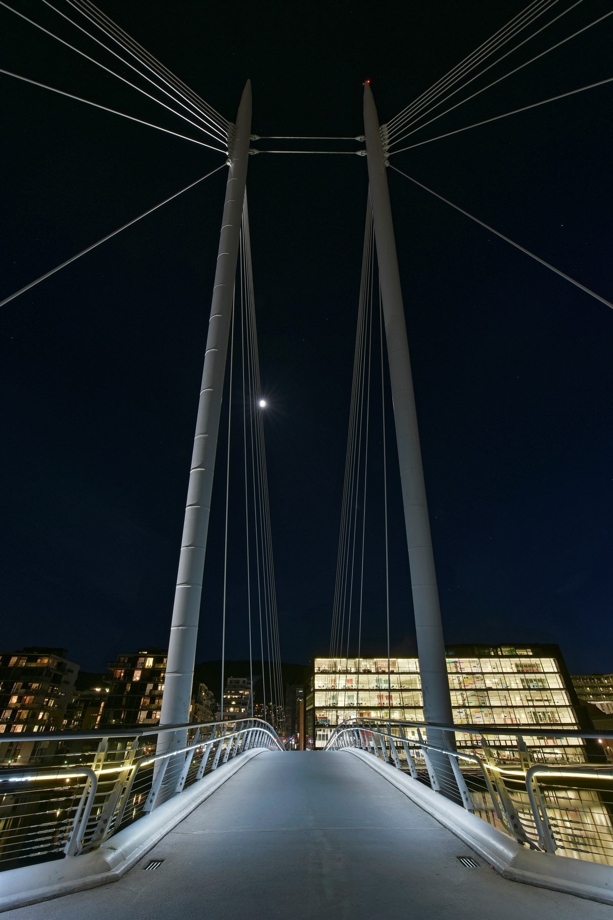 USN har et bredt studietilbud innenfor en rekke attraktive retninger. Galleribilde