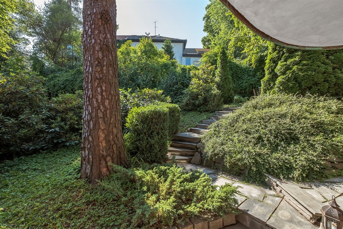 Den frodige hagen er nydelig opparbeidet med plen og prydbusker Galleribilde