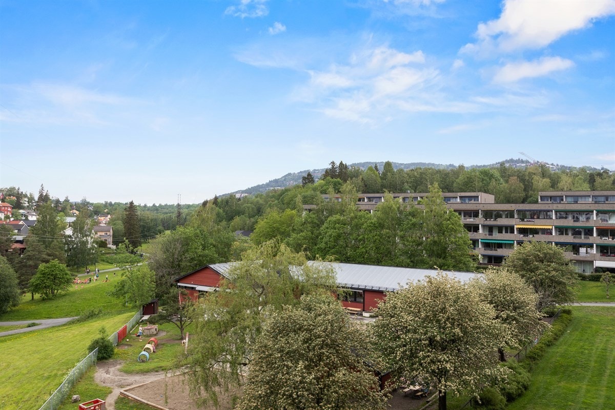 Grønt og frodig utsyn Galleribilde