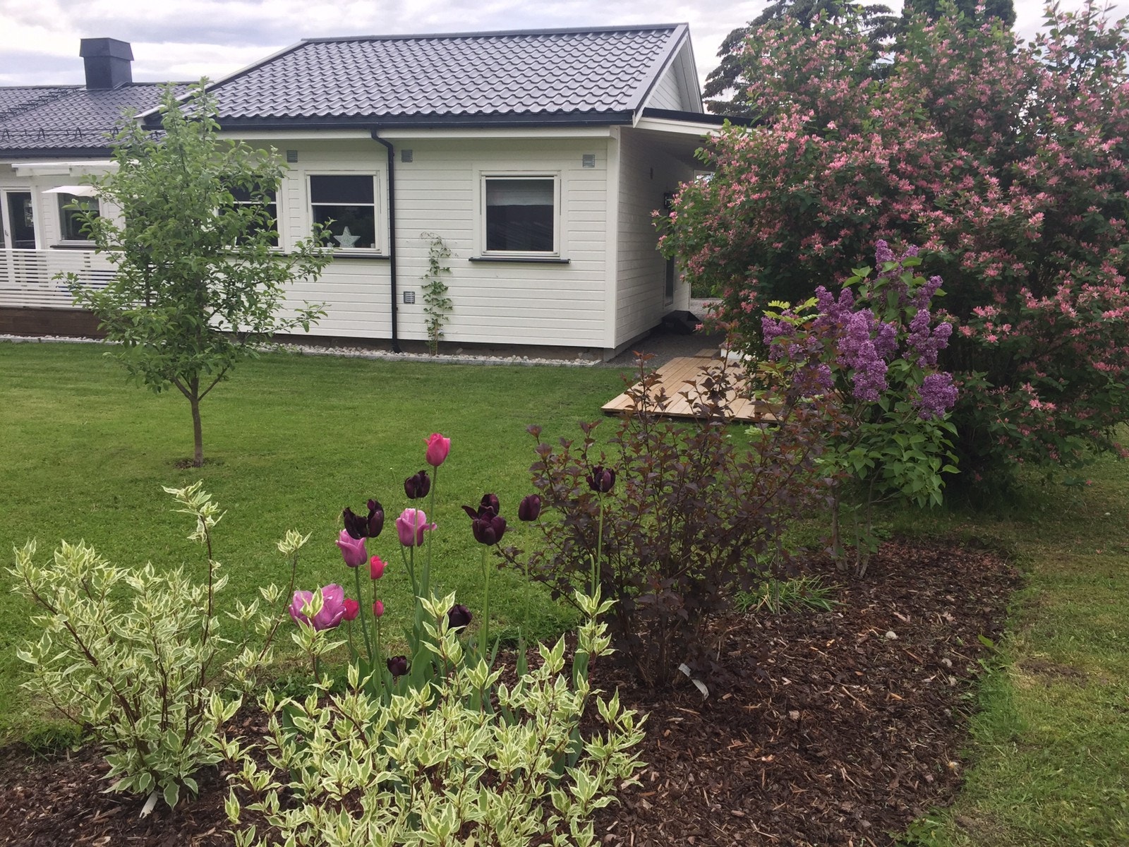 Hjørne av hage, sett fra veien Galleribilde