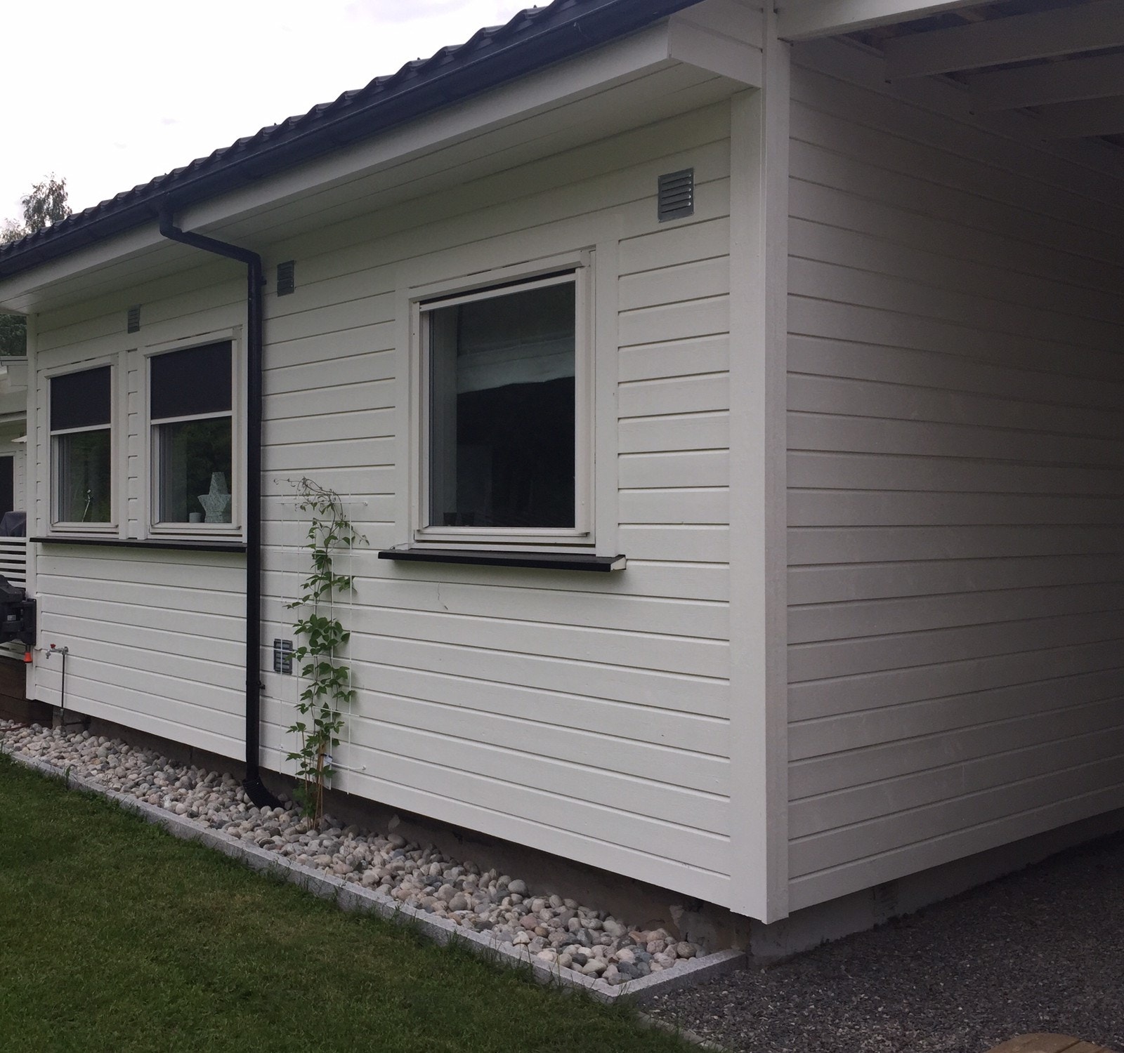 Utleiedel. Kjøkken og stuevinduer Galleribilde