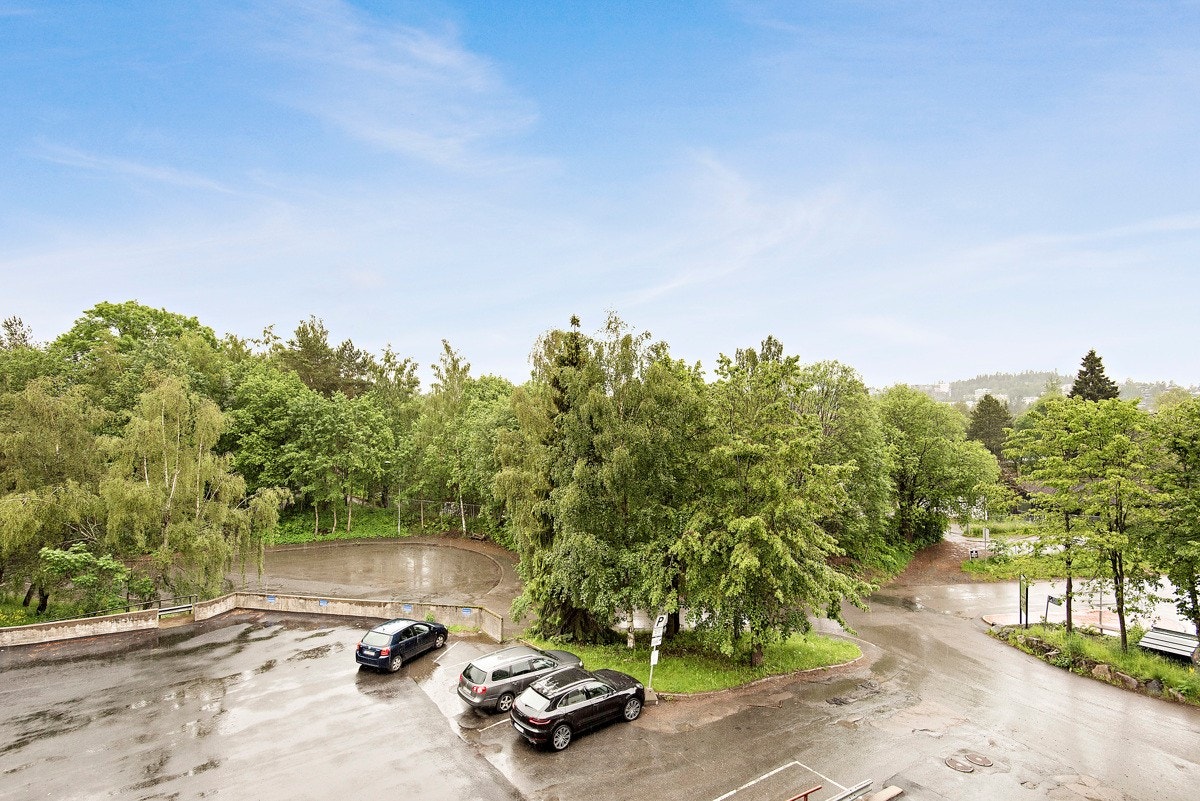 Nærområdet. Galleribilde