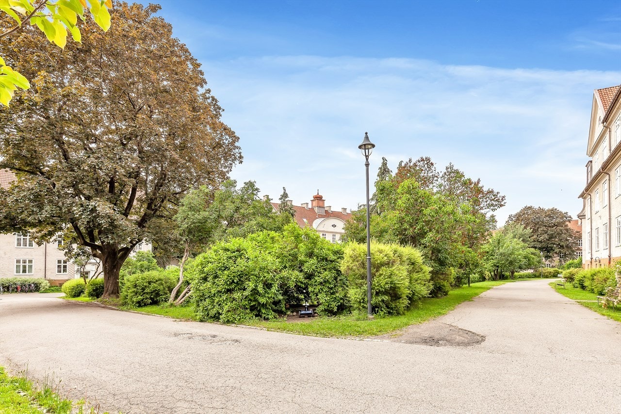 LIndern hageby Galleribilde