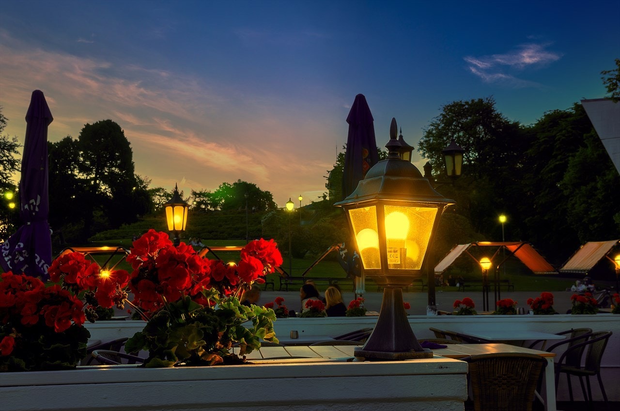 St. Hanshaugen park Galleribilde