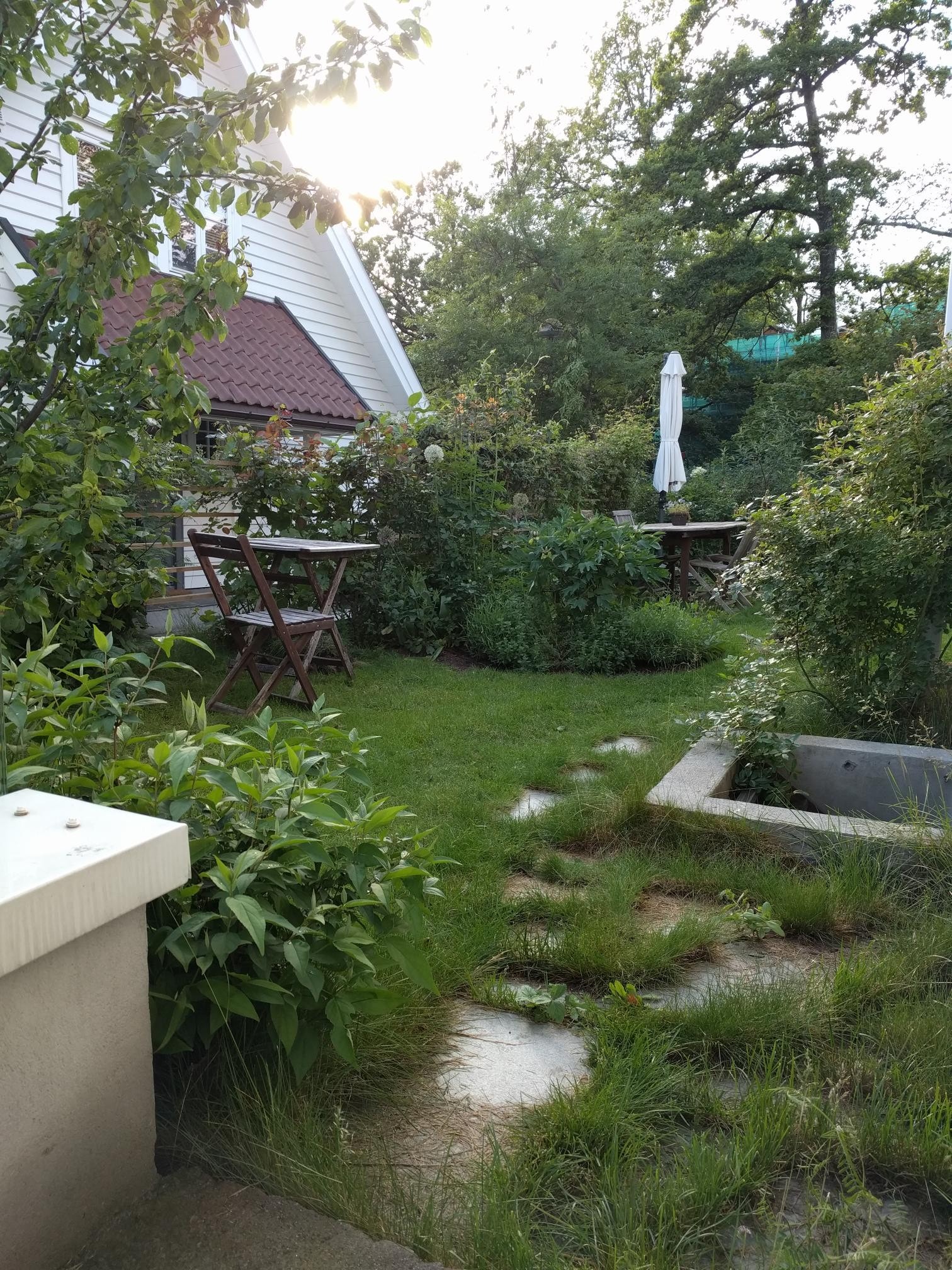 Utsikt fra inngangsparti Galleribilde