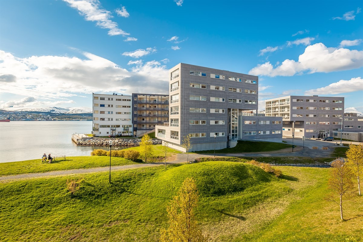 Fine grøntområder. Fellesareal er opparbeidet med terrasser, plattinger og lekearealer