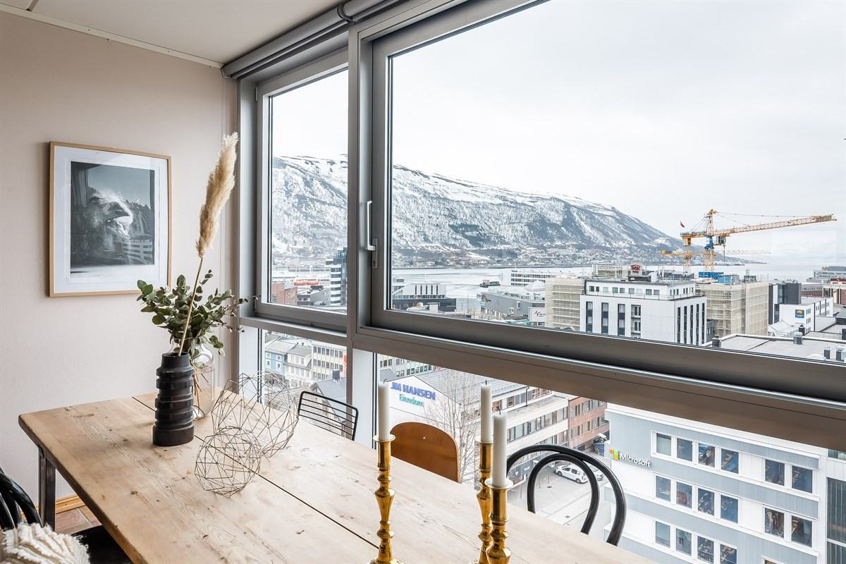 Store glassflater mot sør