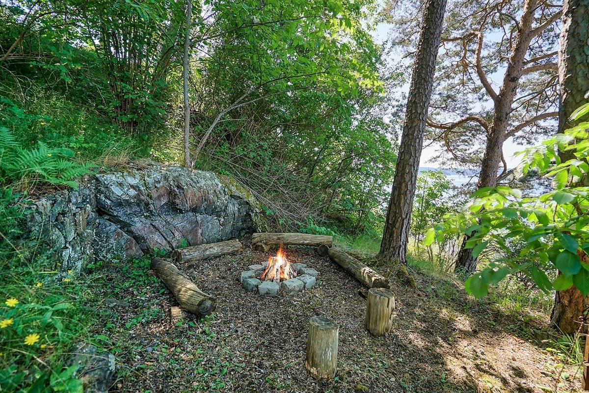 Barnas favoritt sommer som vinter Galleribilde