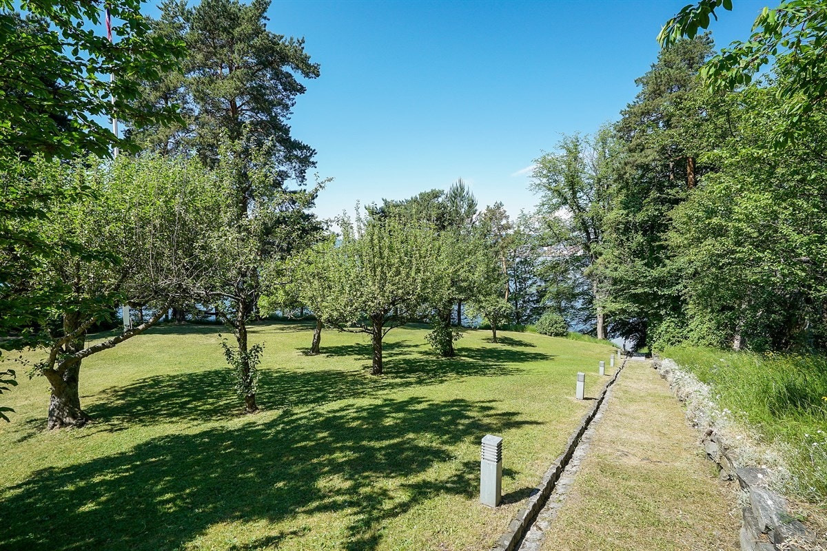 Tomten er på 5190 kvm Galleribilde